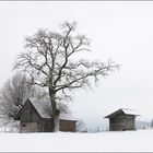 Schnee und Nebel ermöglichen solche Bilder . . . .