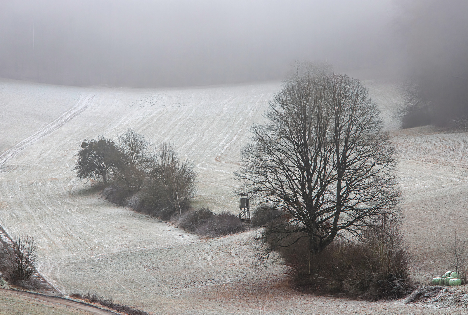 Schnee und Nebel