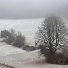 Schnee und Nebel