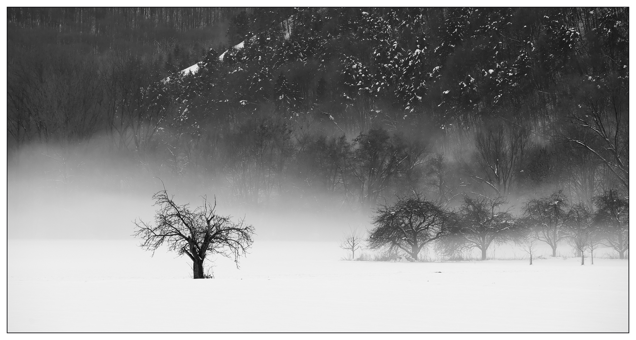 Schnee, und nun auch noch Nebel!