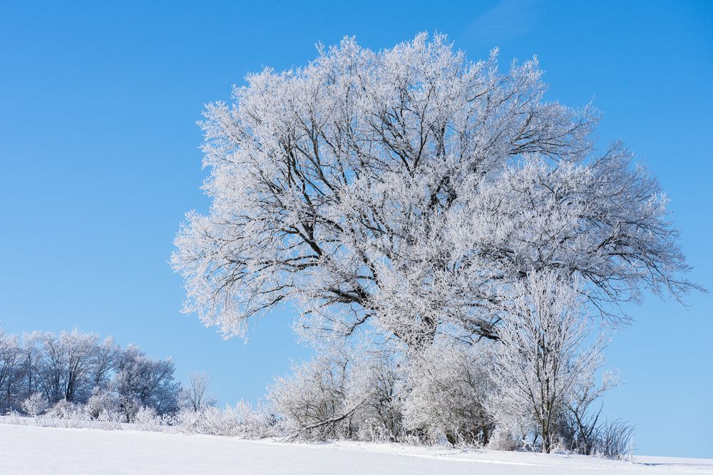  Schnee und Raureif im Vogtland