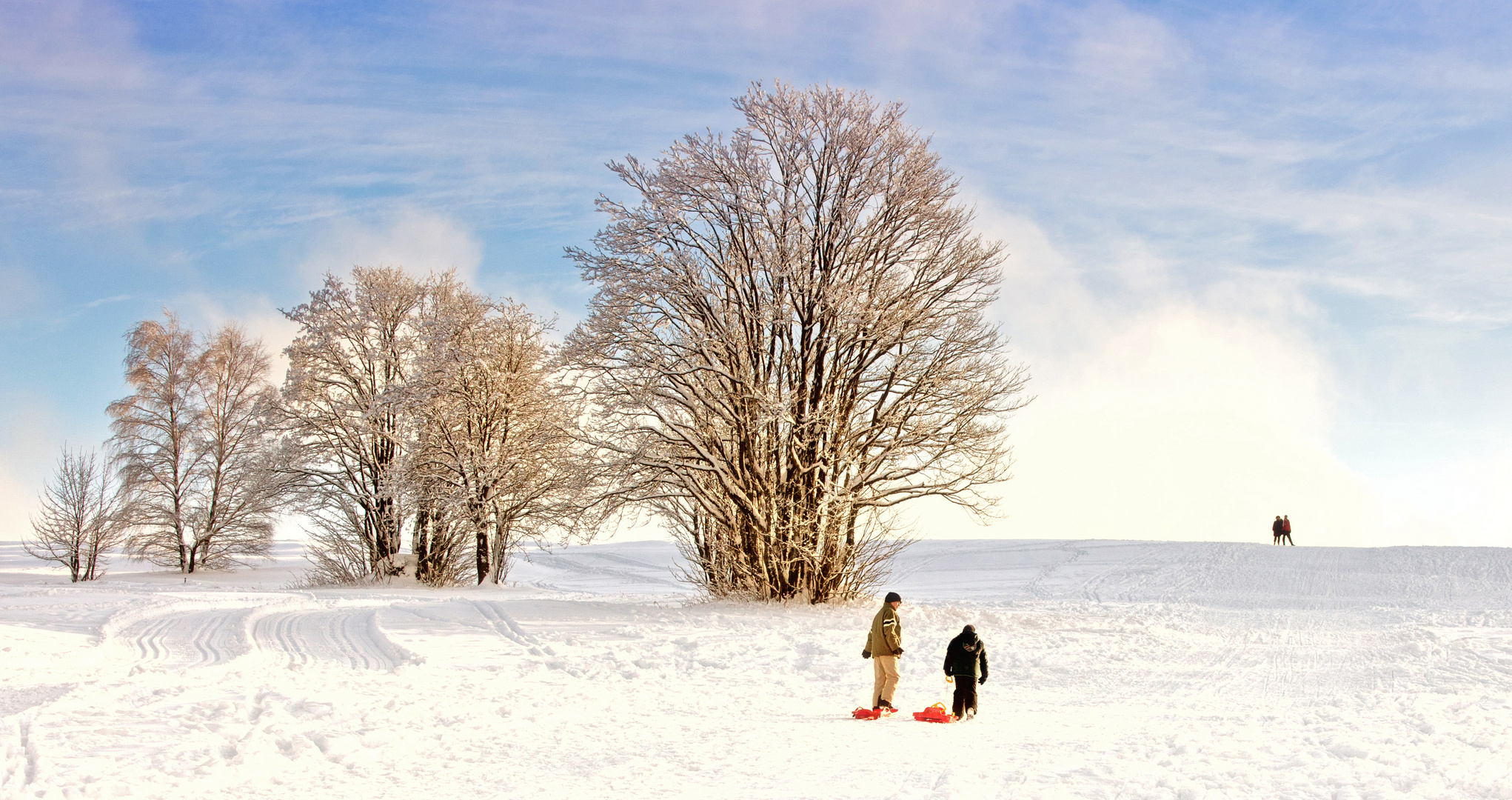 Schnee und Rodel gut ;-)