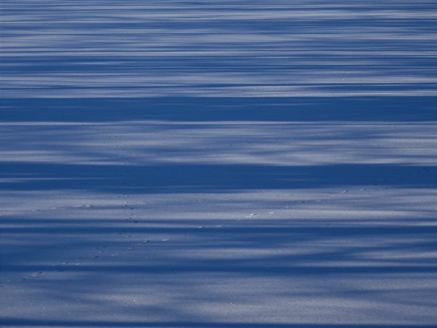 Schnee und Schatten