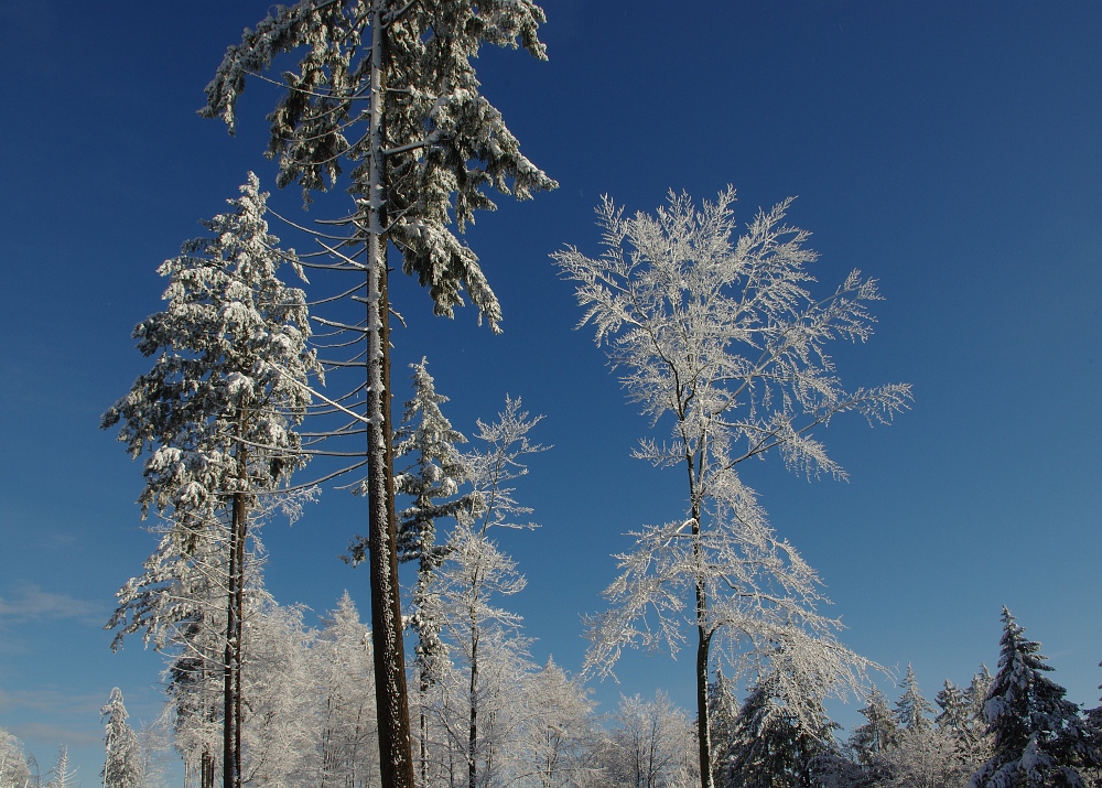 Schnee und Sonne