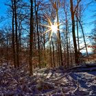 Schnee und Sonnenschein auf der Moselanhöhe