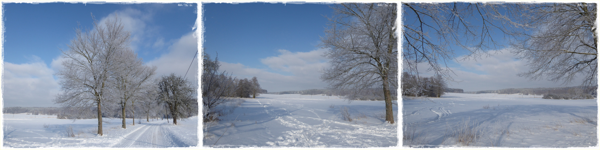 Schnee und Sonnenschein-eine perfekte Kombination