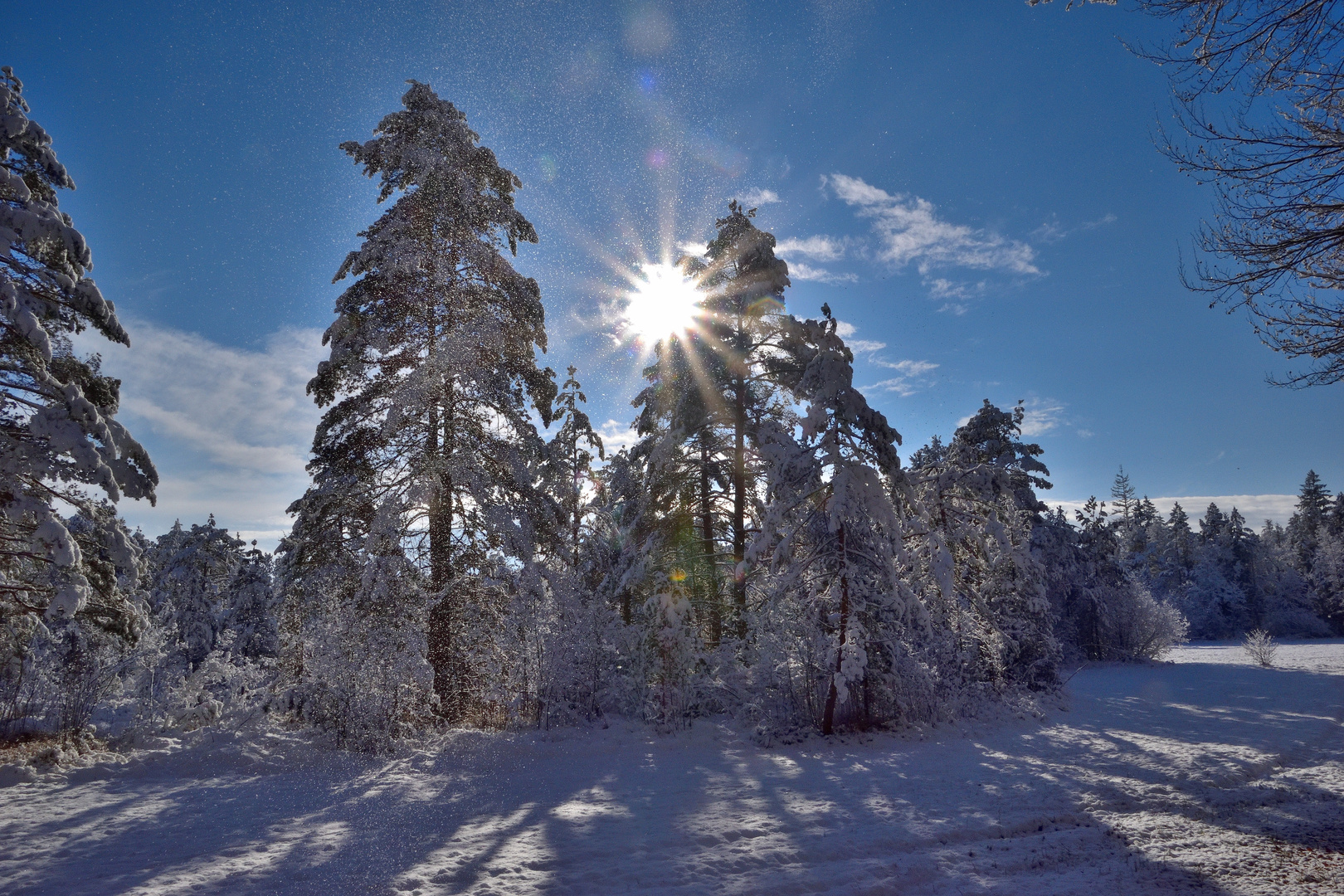 Schnee und Sonnenstern