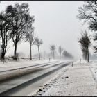 Schnee und Wind in der Eifel