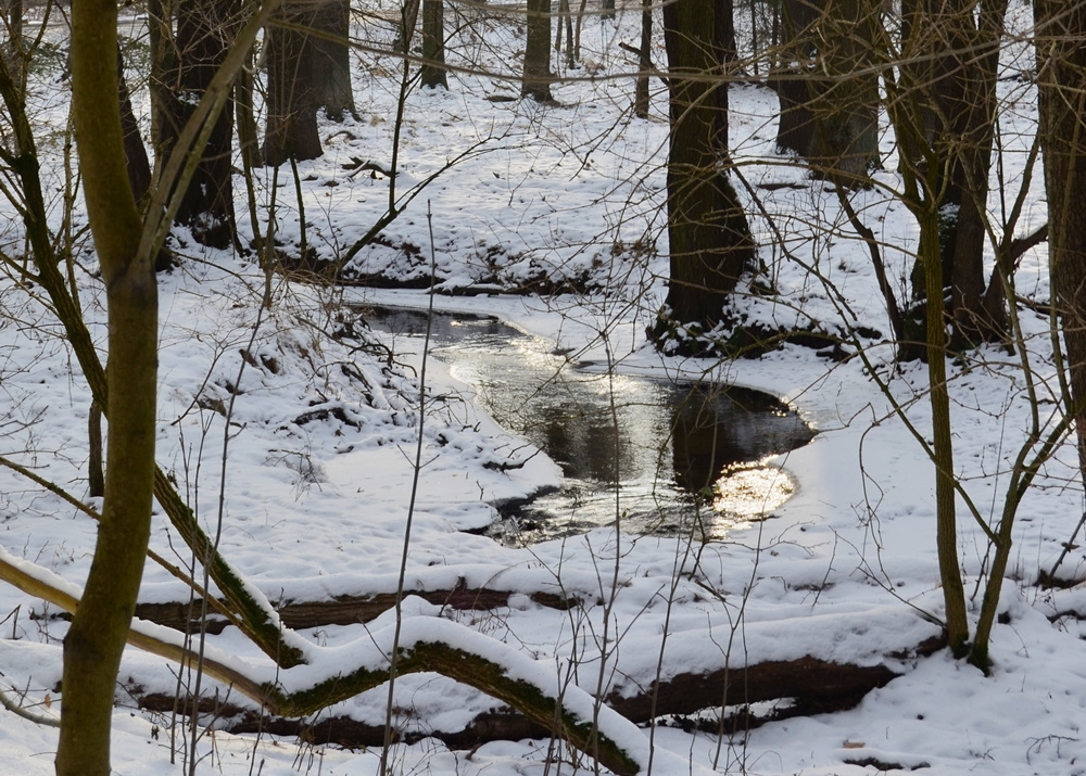 Schnee und Winter ade . . .