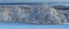 Schnee und Winter intensiv am 3. Advent in Böhmen auf der Naklerovska vysina