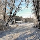 Schnee unter den Füßen