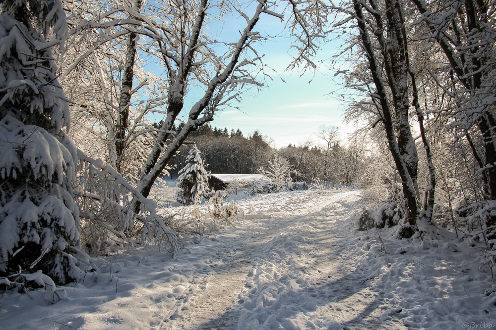 Schnee unter den Füßen