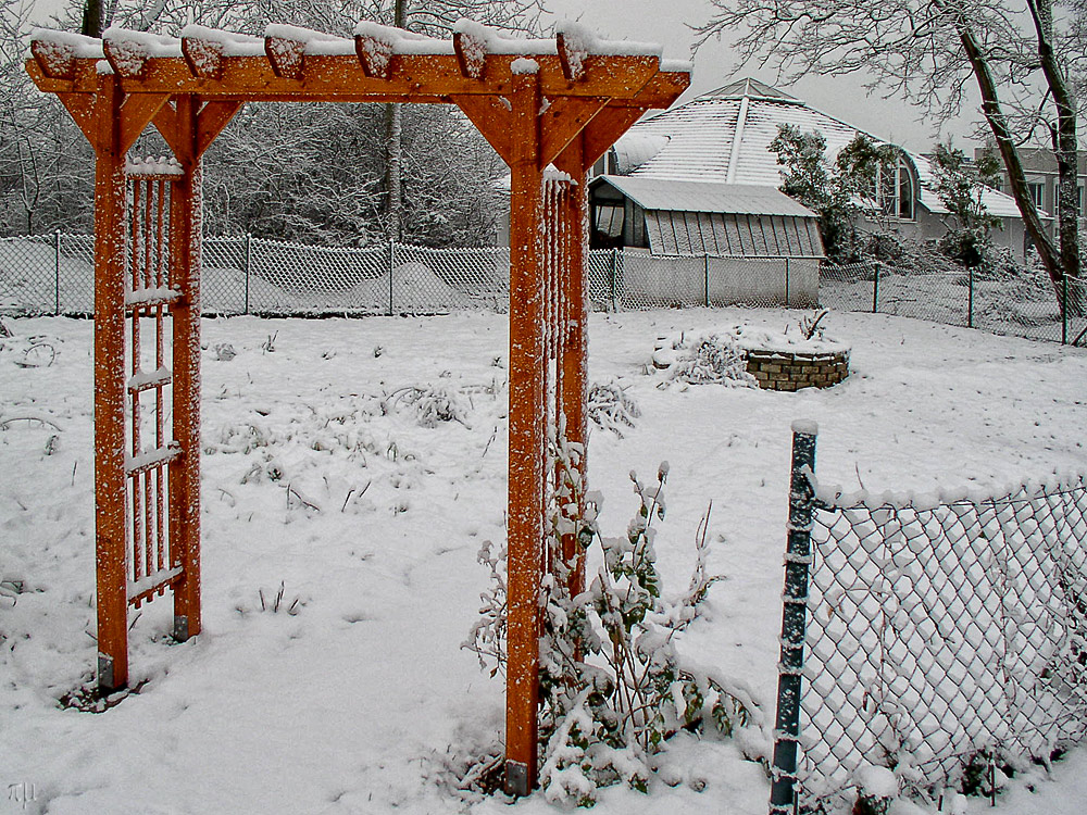 schnee unterm rosenbogen