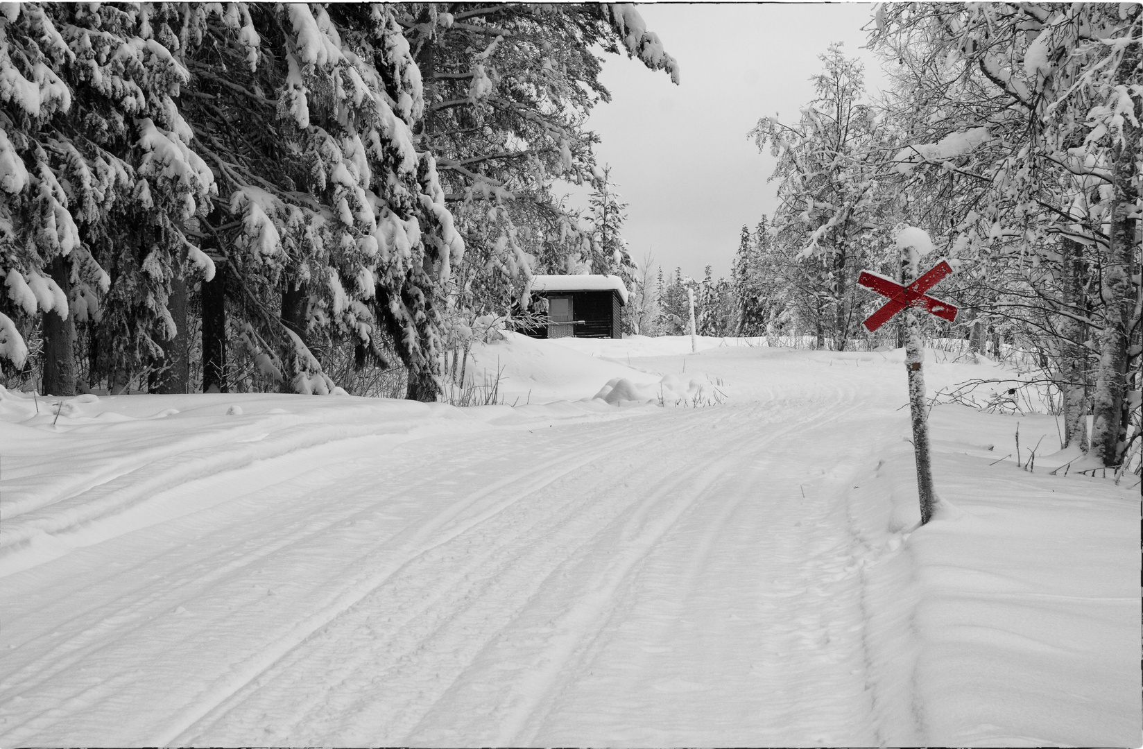 Schnee-Verkehr 1