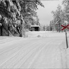 Schnee-Verkehr 1