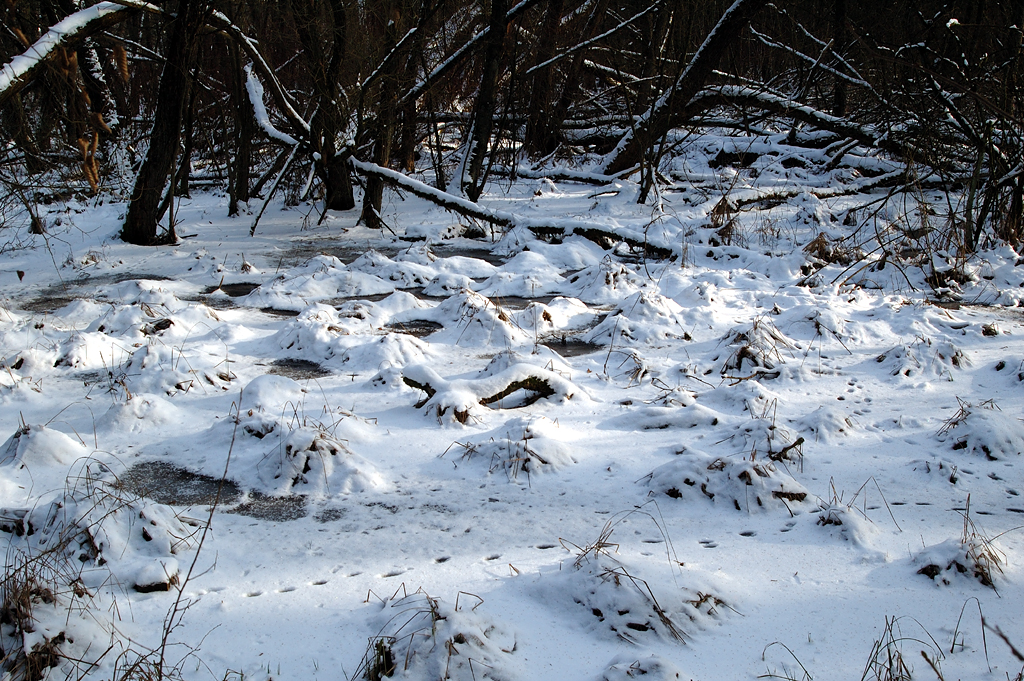 Schnee verzaubert sonst triste Landstriche