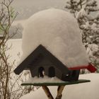 Schnee-Vogelhaus