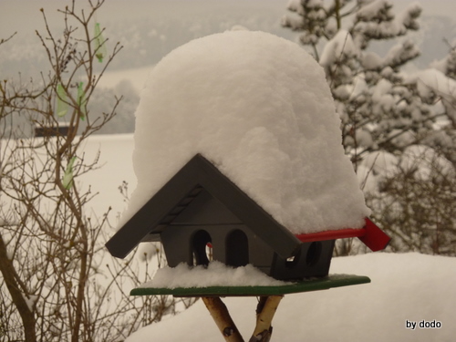 Schnee-Vogelhaus