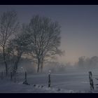 Schnee Vollmond Nebel Nacht