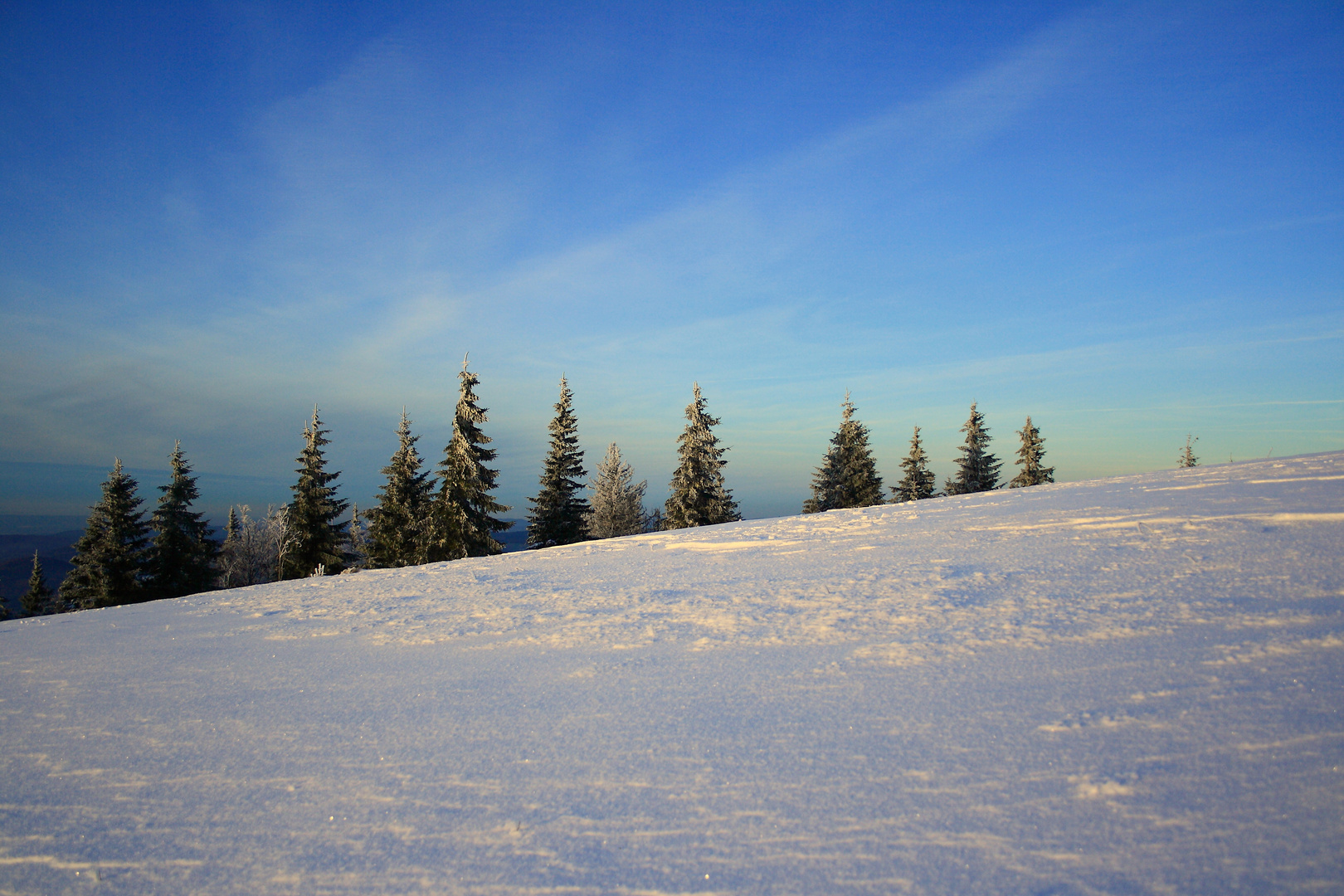 Schnee vom letzten Jahr