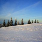 Schnee vom letzten Jahr