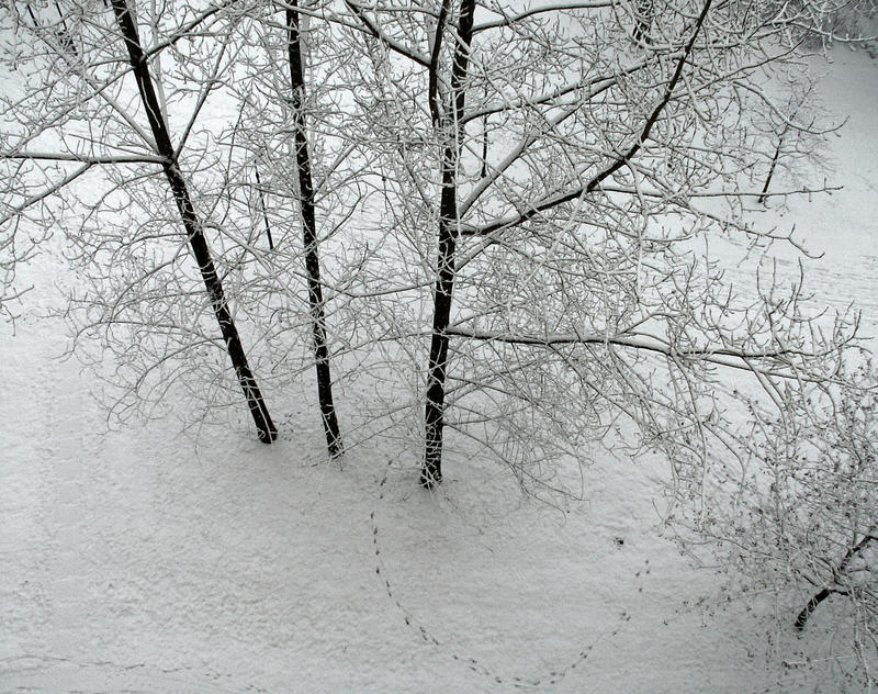 Schnee vom letzten Jahr