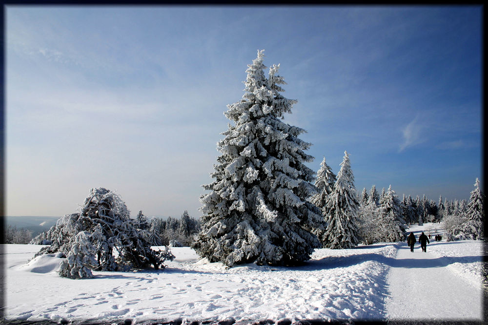 Schnee vom letzten Jahr.