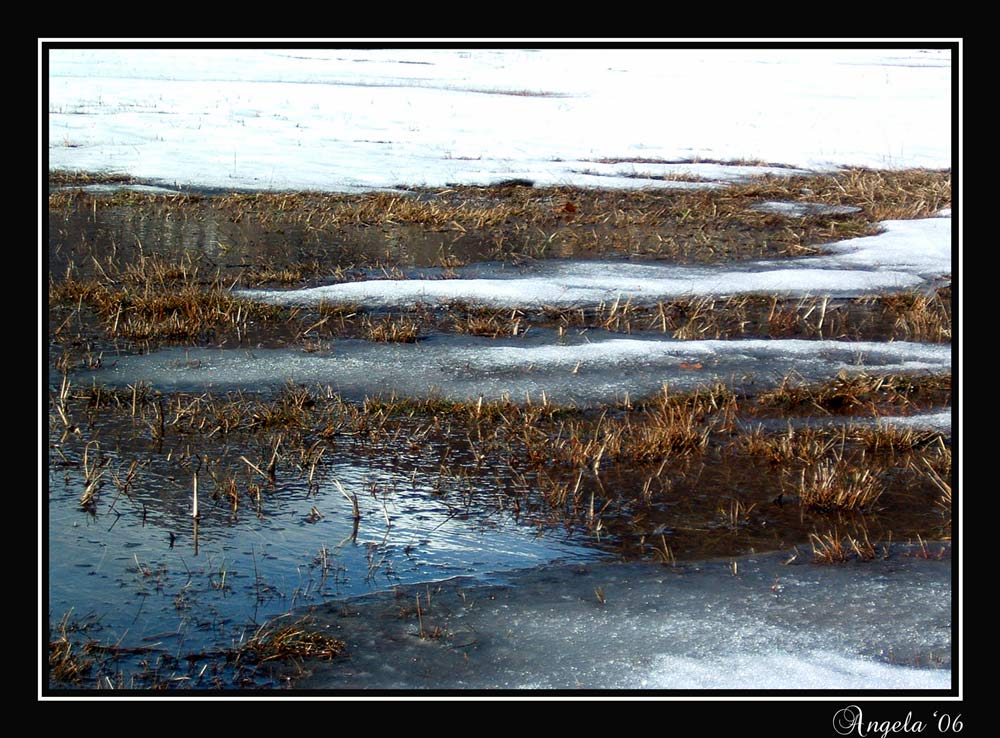 Schnee vom letzten Winter...