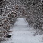 Schnee vom vorletzten Jahr