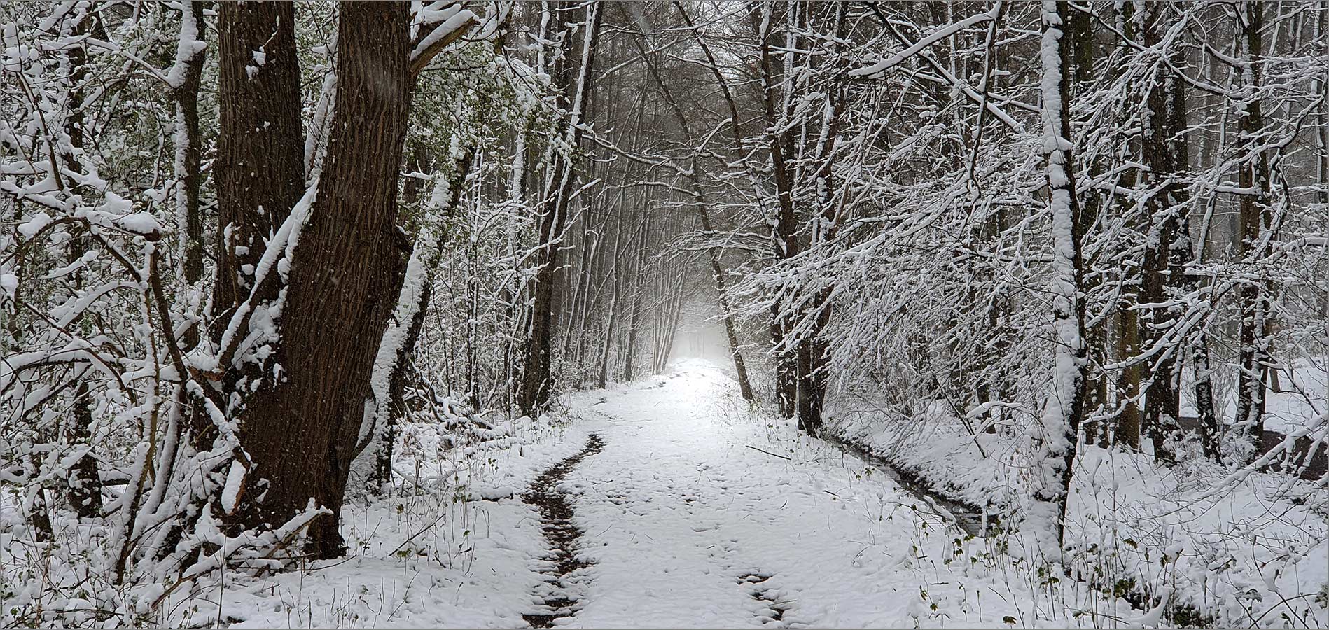 "Schnee von Gestern"