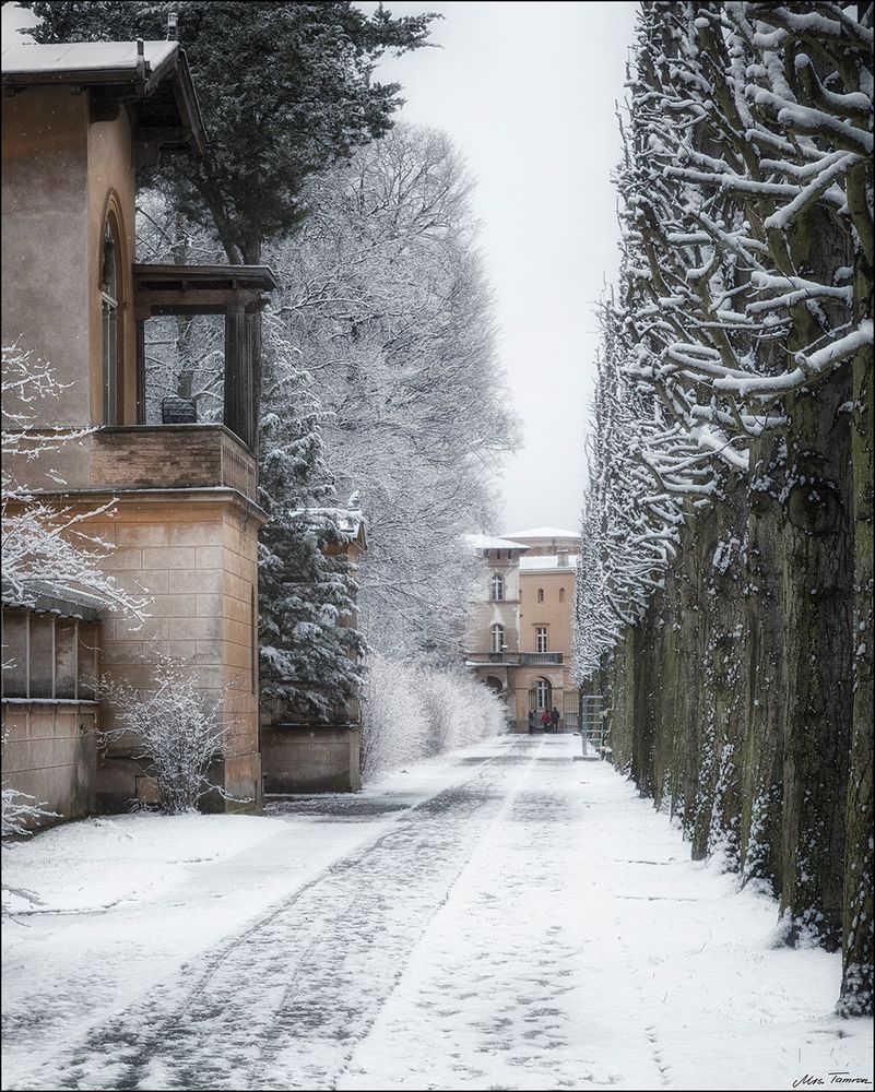 '' Schnee von gestern ''