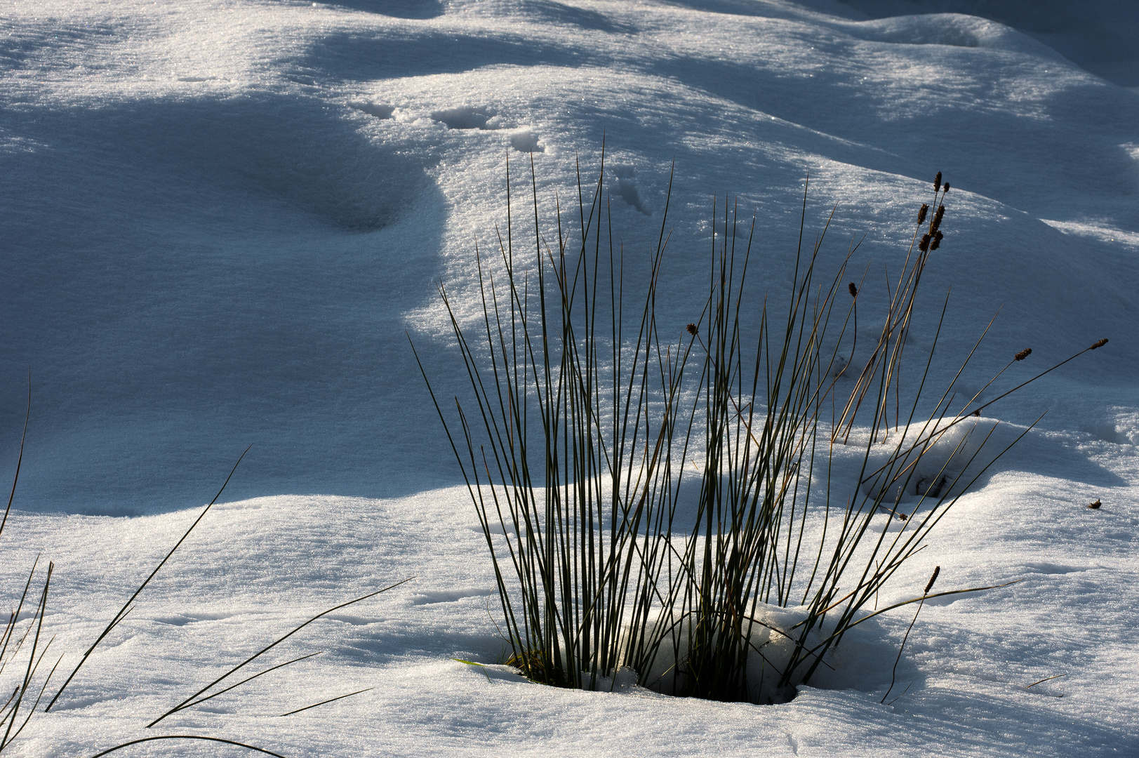 Schnee von gestern.