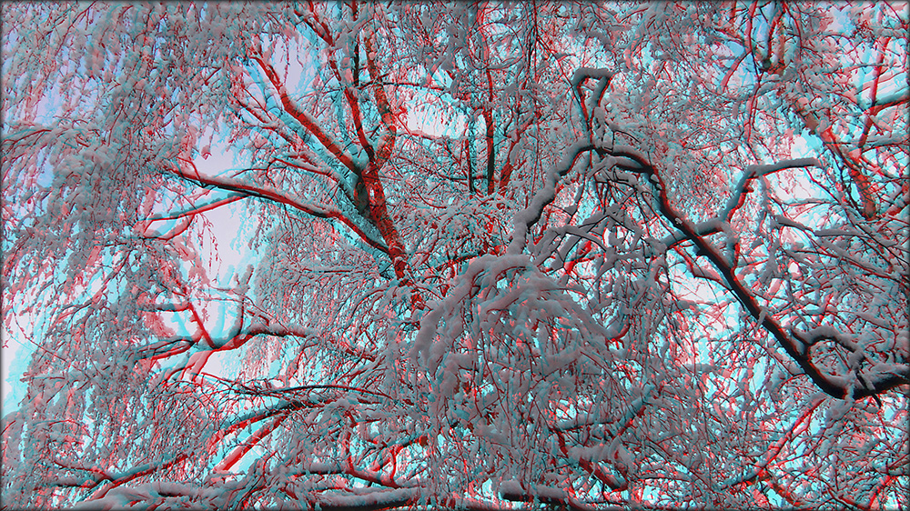 Schnee von gestern 1 (3D)