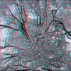 Schnee von gestern 1 (3D)