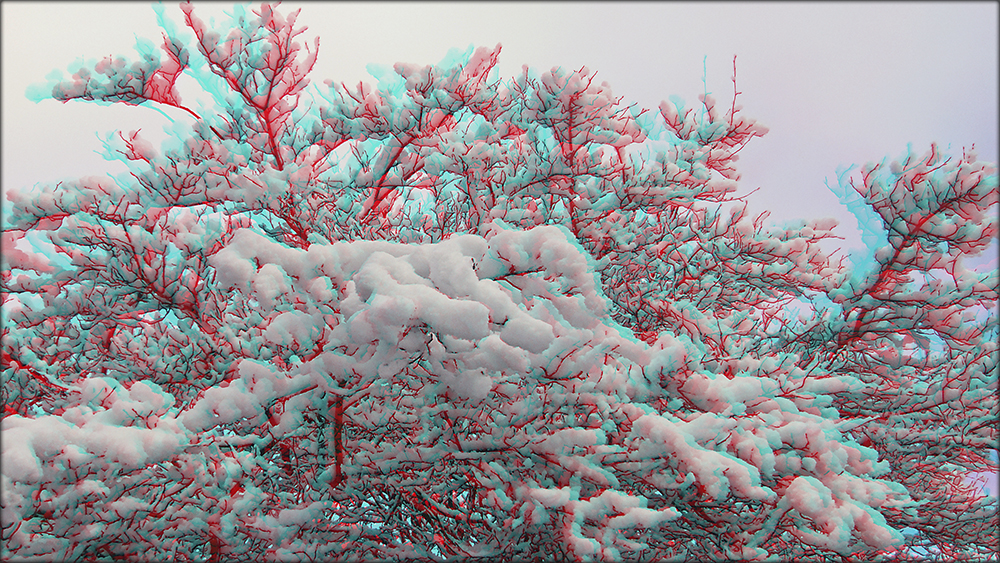 Schnee von gestern 3 (3D)