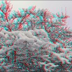 Schnee von gestern 3 (3D)