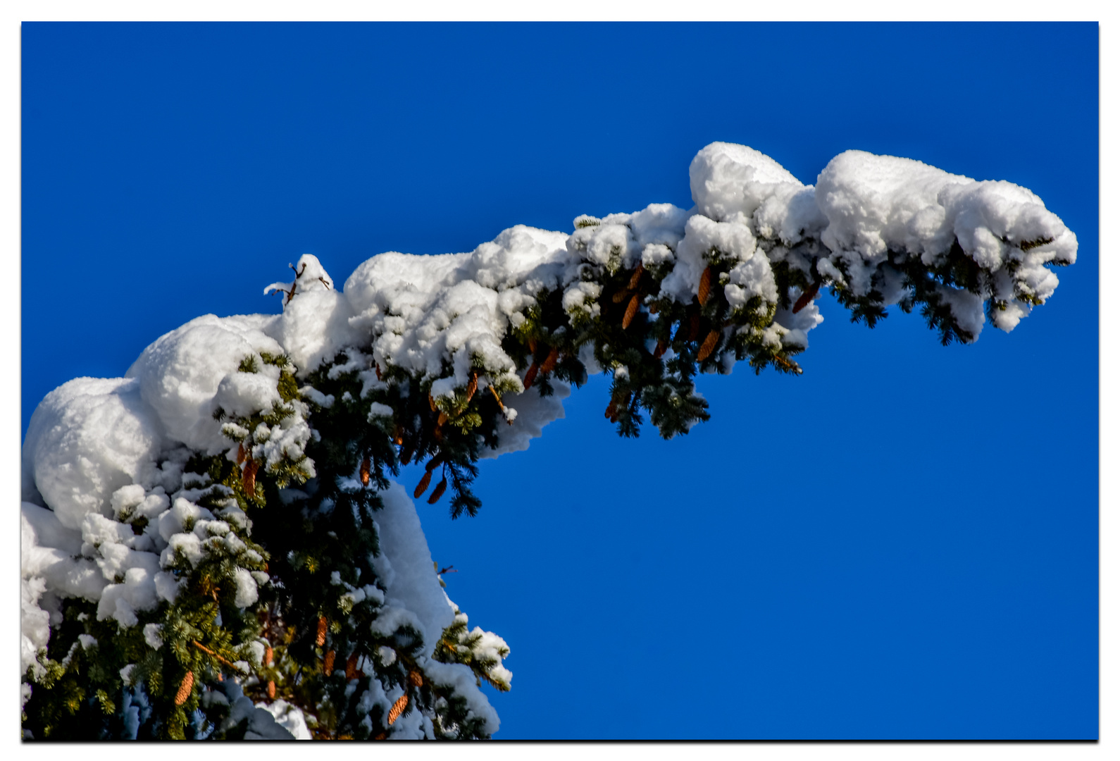 Schnee von gestern