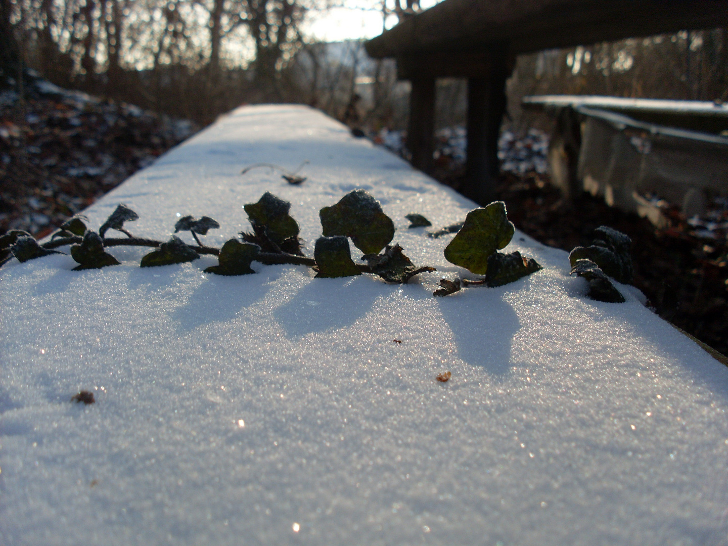 Schnee von gestern