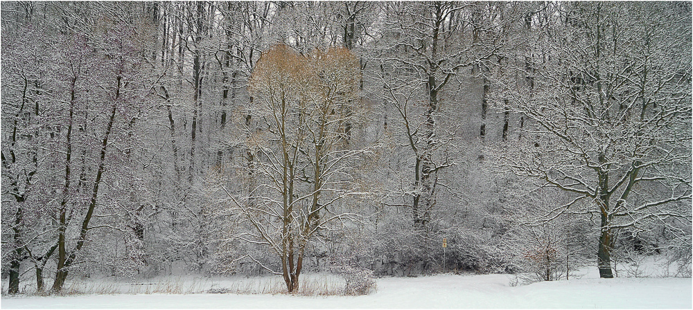 Schnee "von gestern"