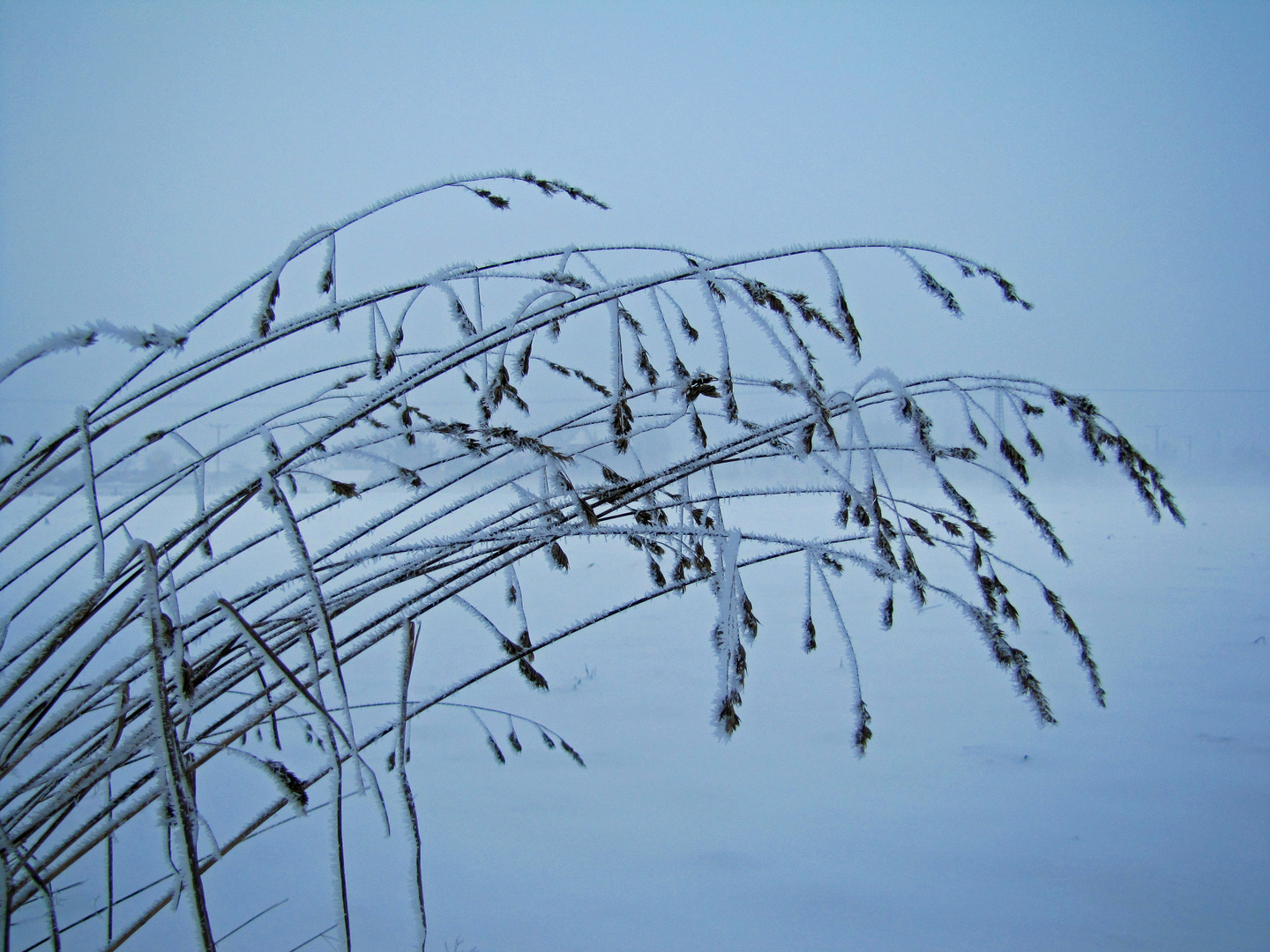 Schnee von gestern................?????