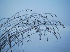 Schnee von gestern................?????