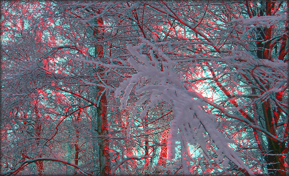 Schnee von gestern 4 (3D)