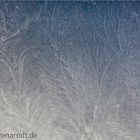 Schnee von gestern (4) ...