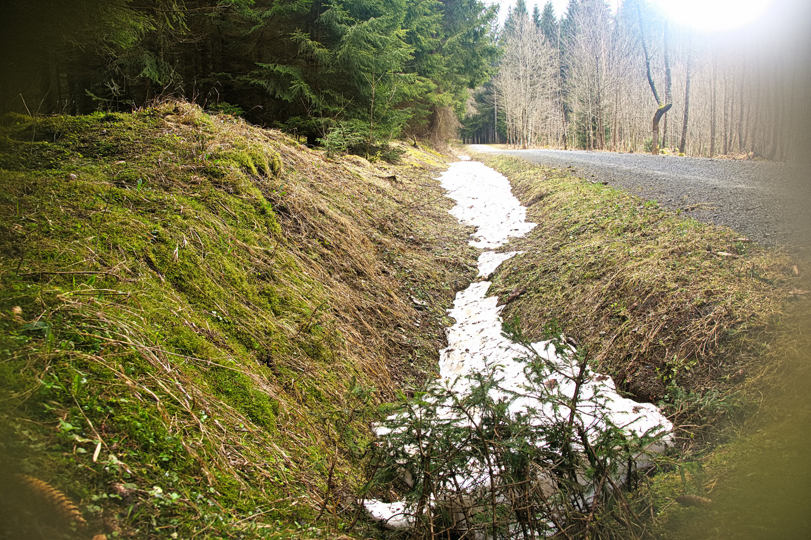 Schnee von Gestern 