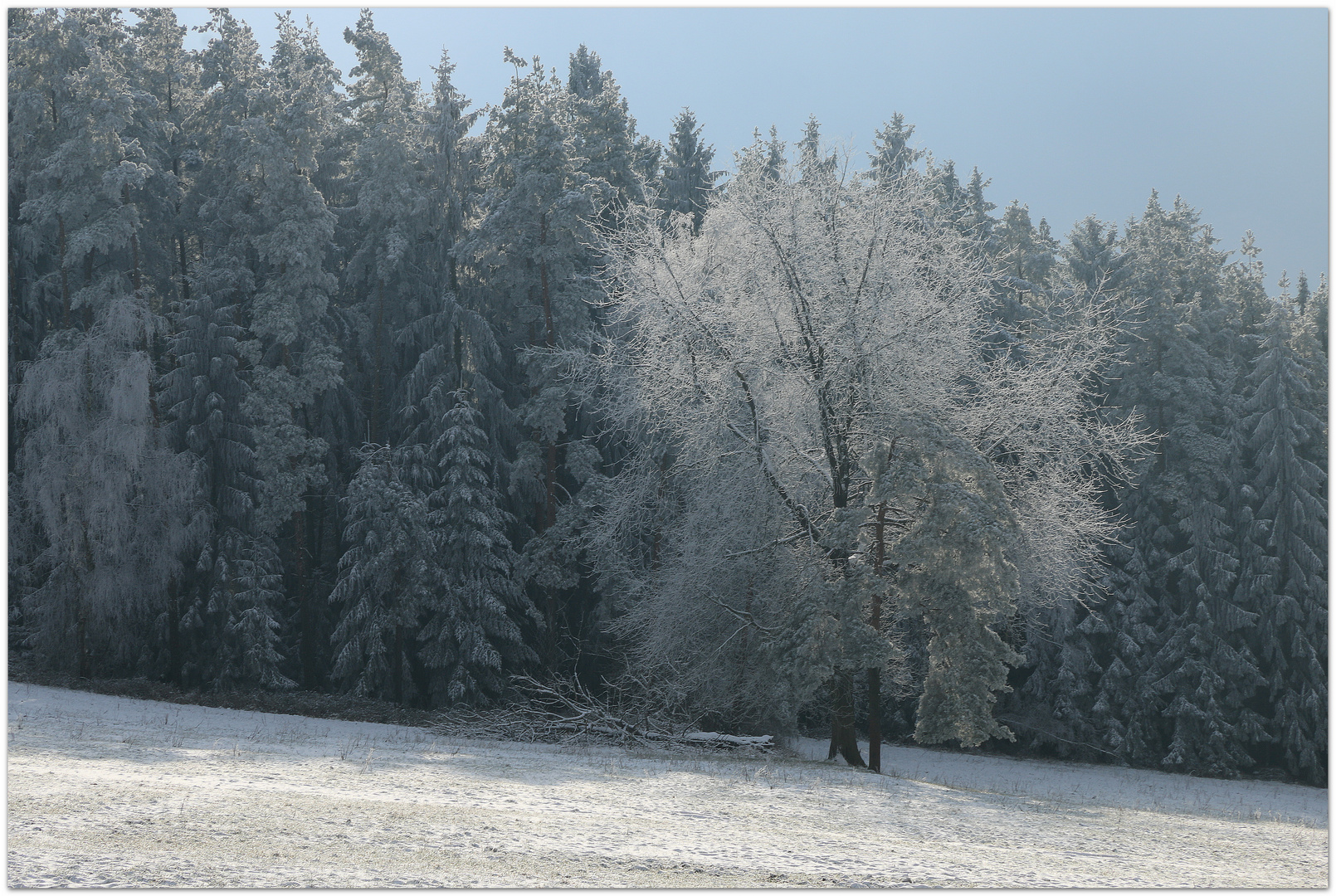 Schnee von gestern