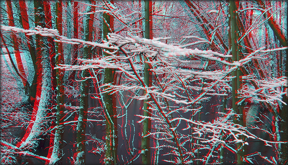 Schnee von gestern 5 (3D)