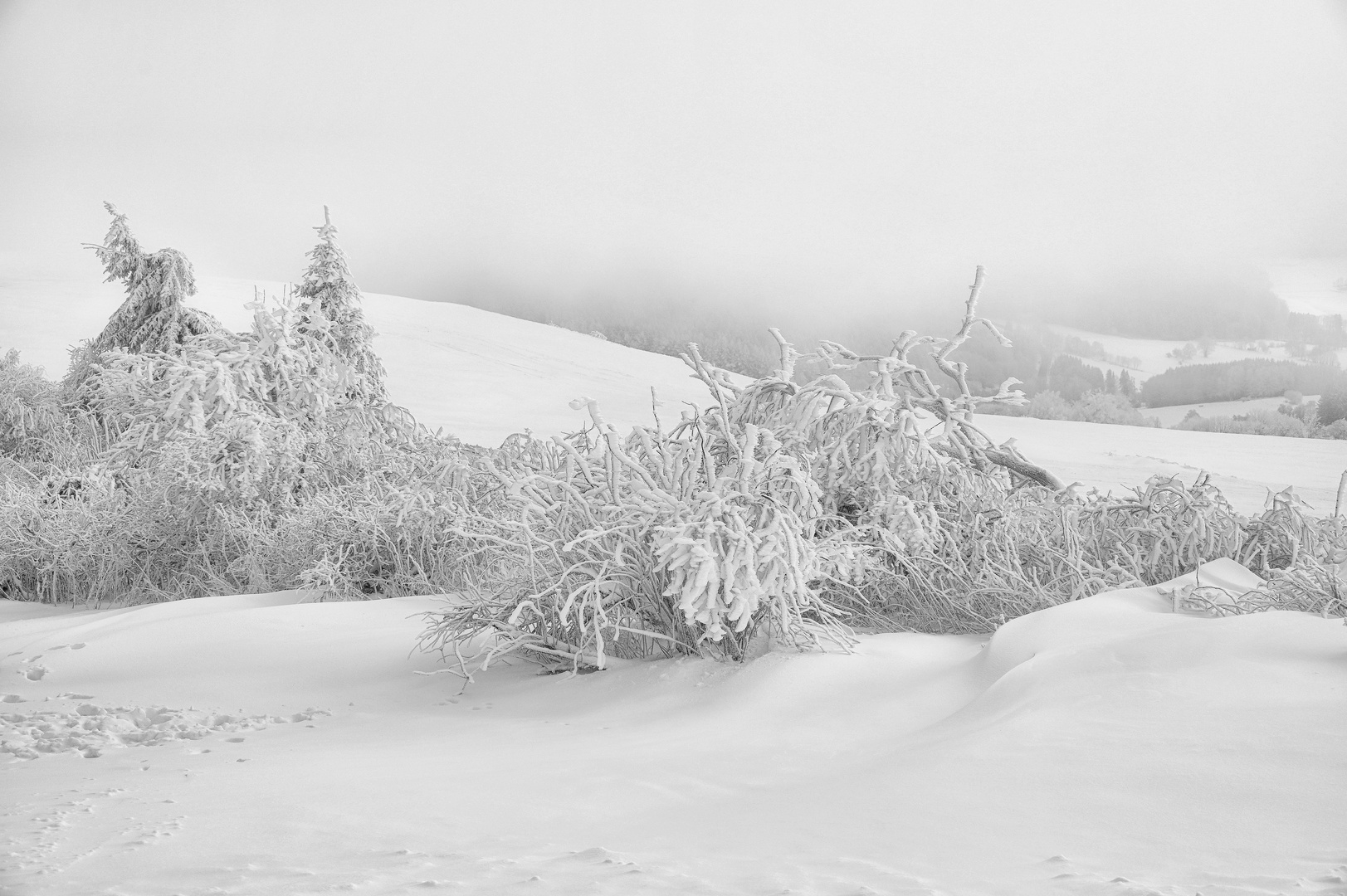 Schnee von gestern.....