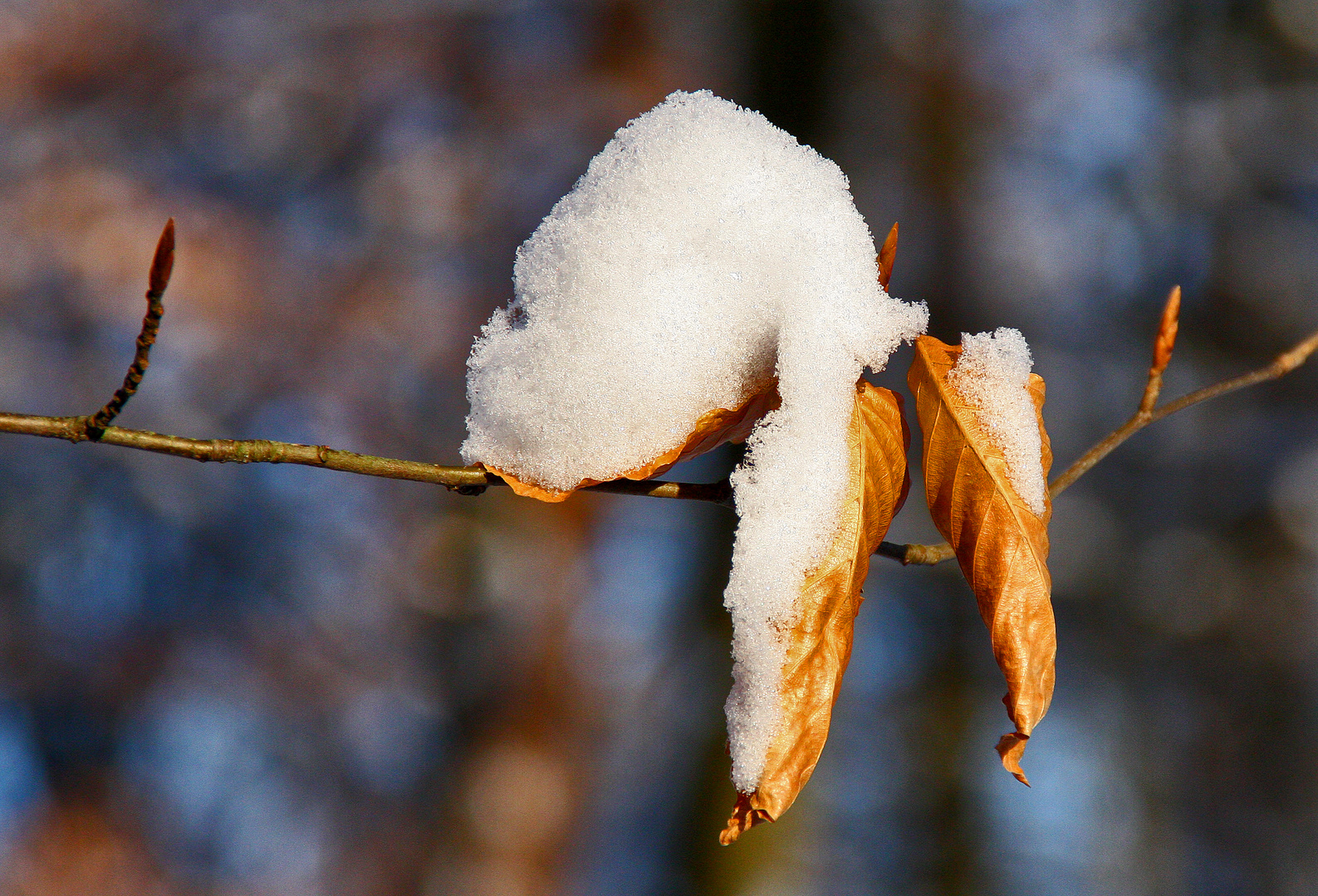 Schnee von gestern...