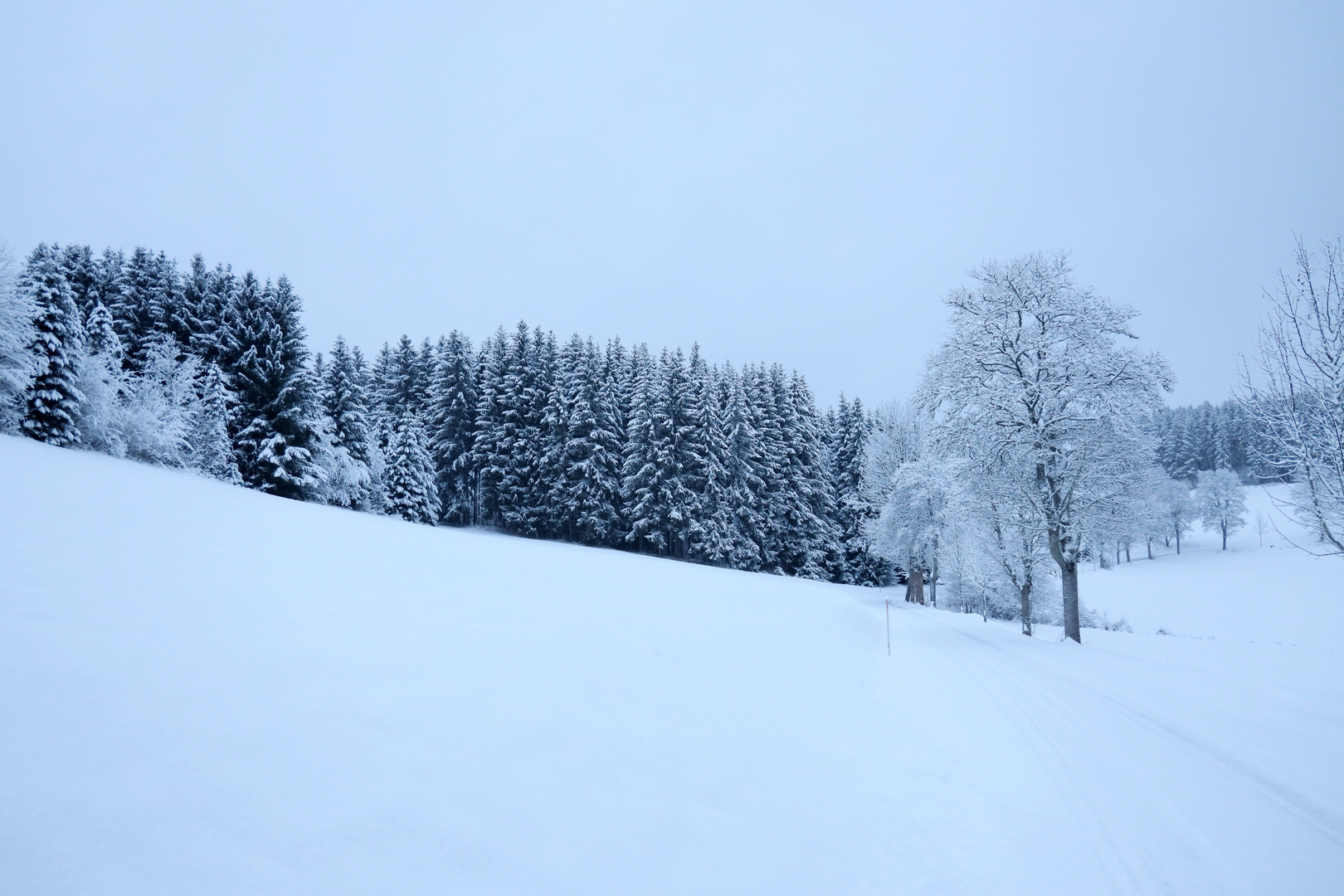 Schnee von gestern