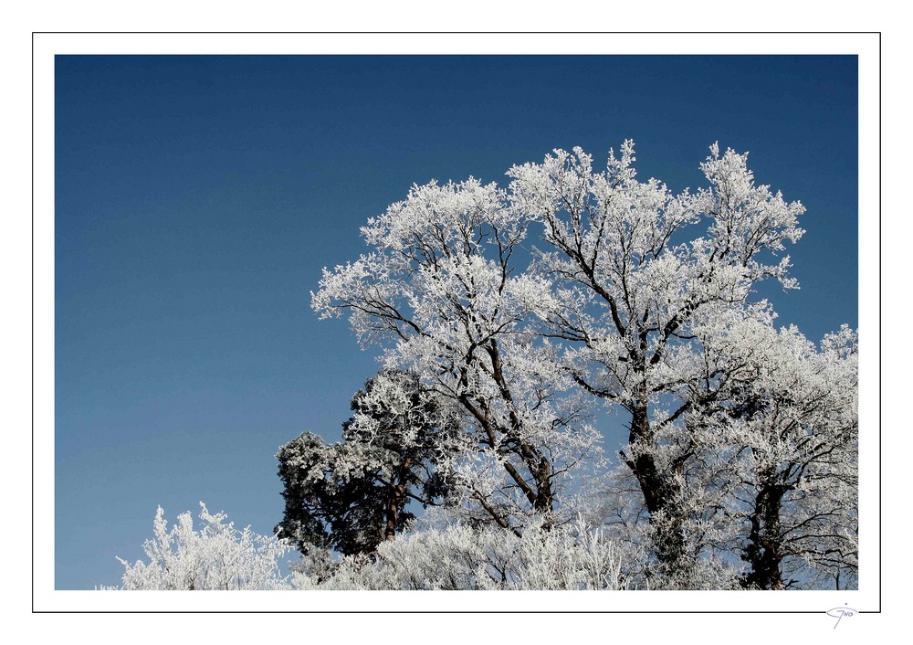 Schnee von gestern